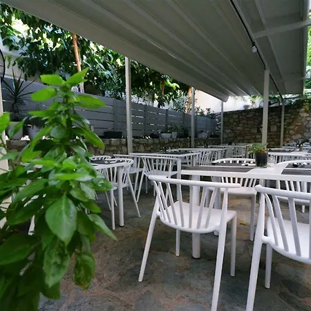Hotell Dimitrios Adults Friendly 14